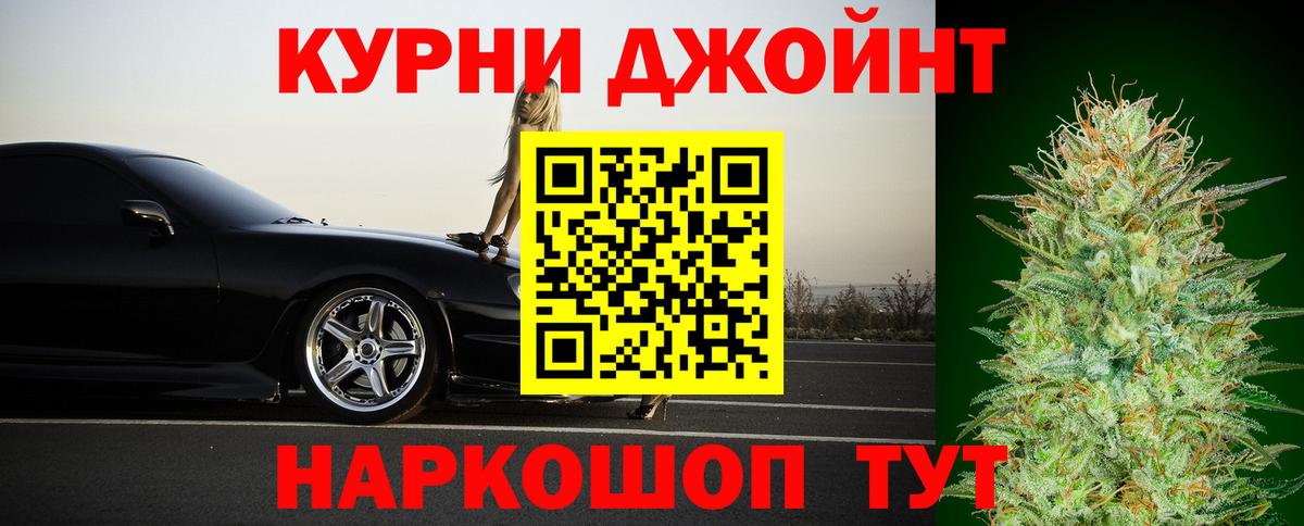 Бошки Шишки семена Новокубанск